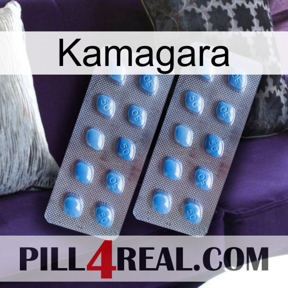 Kamagara viagra4.jpg